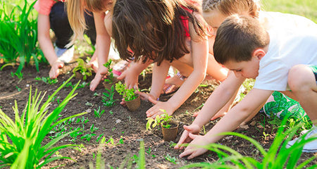 Teach Your Kids How To Garden