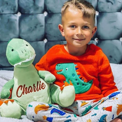Personalised Large Dinosaur Soft Toy