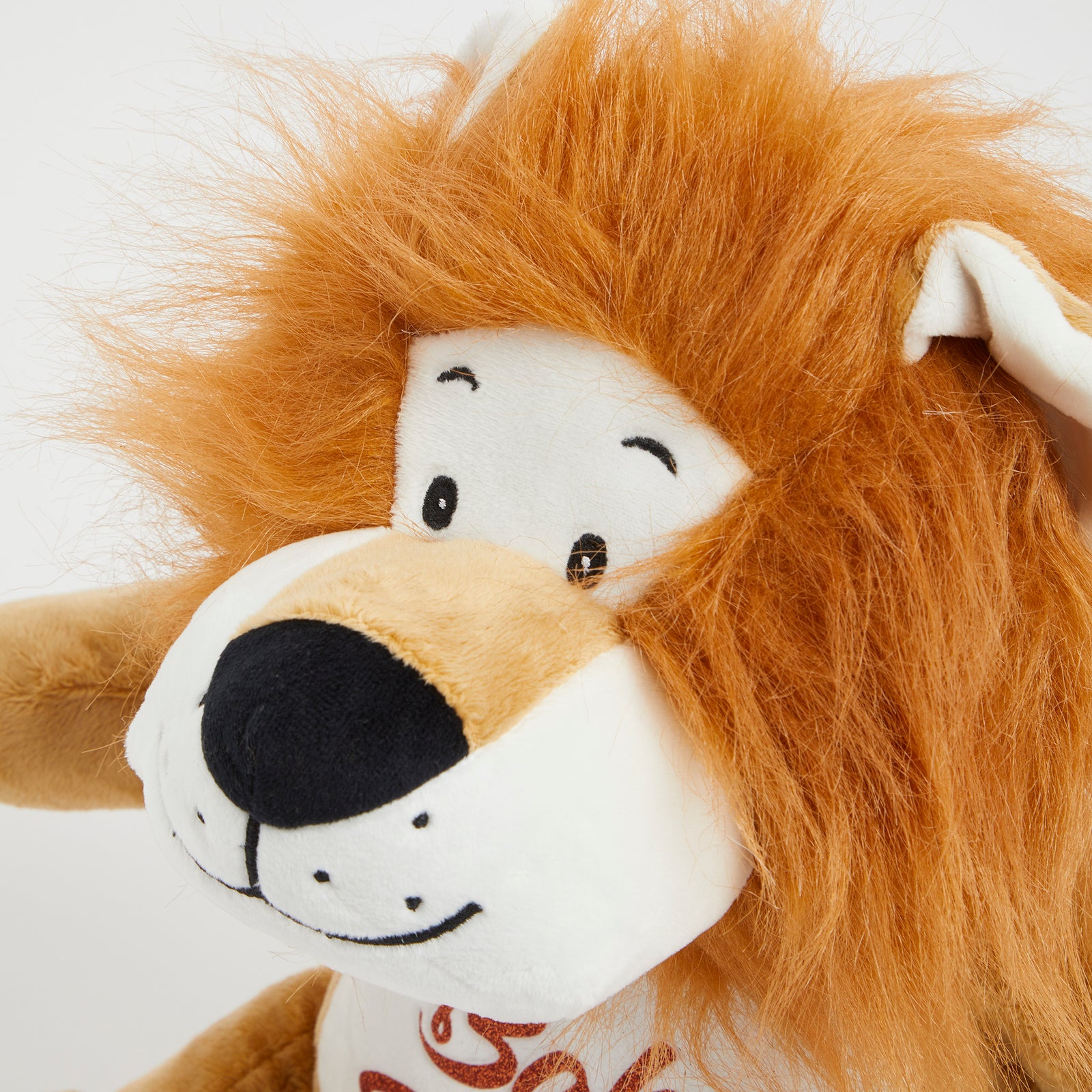 Personalised Lion Soft Toy